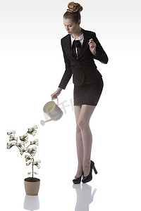 西装摄影照片_优雅的女商人穿着深色优雅的西装和浇水一元钱植物与喷壶
