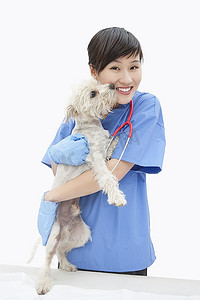 抱着狗摄影照片_亚洲女兽医在灰色背景下抱着狗的肖像