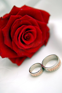 未婚夫摄影照片_带环的红玫瑰近距离