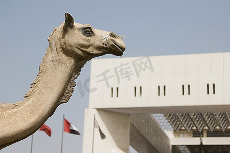 迪拜，阿联酋，一座骆驼雕像在迪拜市政府总部大楼外展出。