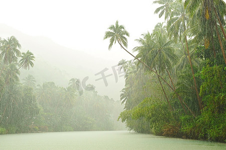 流经雨林的河流上方的热带雨