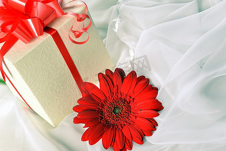 活动礼盒摄影照片_白色丝绸上印有红色非洲菊的礼盒