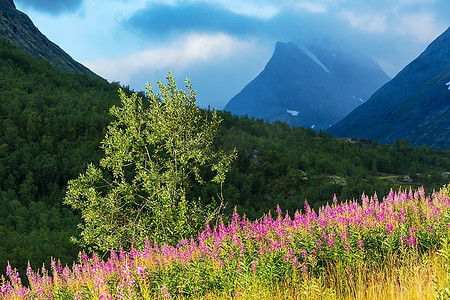 挪威的群山，约顿海门国家公园