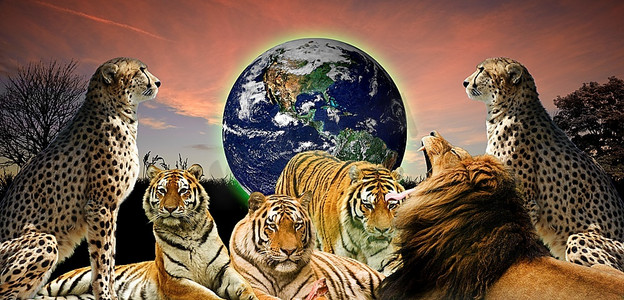 动物野生动物保护地球的创意概念图，因为地球属于他们和人类