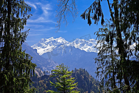 辽师 考情分析-小书屋