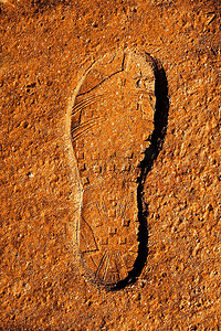 沙子上有新的脚印沙漠蛇