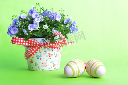 小花蓝色摄影照片_绿色背景上的蓝色风铃花和复活节彩蛋