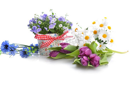 花盆中的蓝色风铃花和其他花卉
