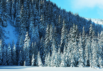 冬季森林在山区