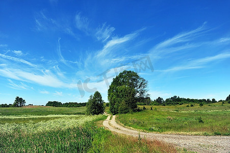 田野路摄影照片_田野之间的乡村路，天空中的云