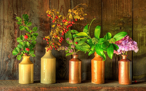 风化木质背景下乡村花瓶中干花的静物意象