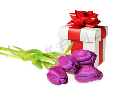 礼盒绿色摄影照片_紫罗兰色郁金香花束和礼盒