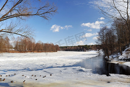 户外雪摄影照片_树木和灌木丛在银行的积雪覆盖的河流。冬季景观