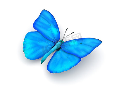 蓝蝴蝶隔离(白底3D隔离人物系列)