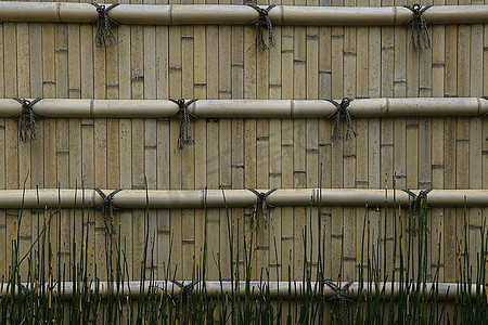 日本，Himeji，Himeji Koko-en花园，裂开的竹墙，特写
