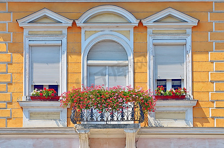 夏季带花盆的阳台