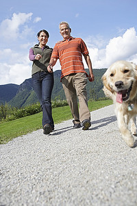 一对夫妇带着金毛猎犬在路上散步