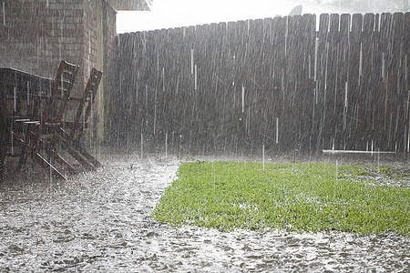 下雨了摄影照片_后院下着大雨