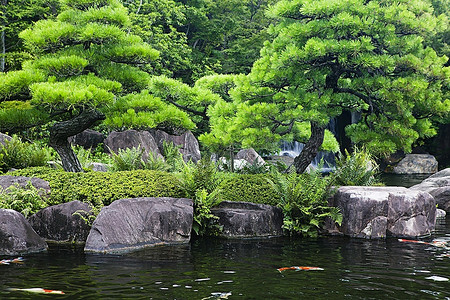 日本，Himeji，Himeji Koko-en花园，锦鲤池塘