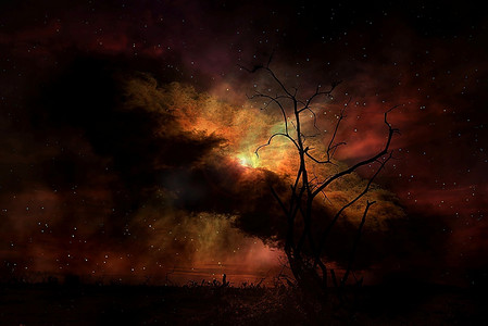 斯塔克树的剪影与夜空的对比这幅图像的元素由NASA提供