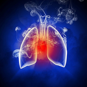 人体器官喉摄影照片_人体肺部示意图