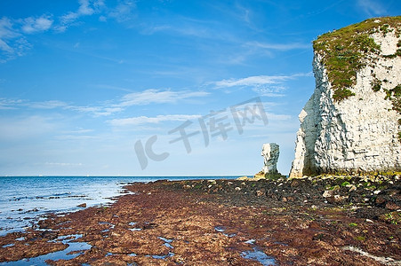 老哈里岩石在侏罗纪海岸在多利斯特英格兰，联合国教科文组织世界遗产地点从悬崖的低潮基地向上看