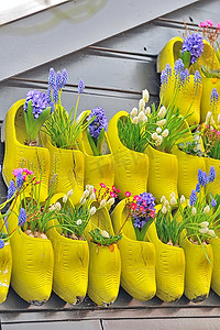 荷兰五彩缤纷的传统黄色木鞋