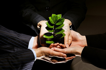 树状关系摄影图片-树状关系摄影作品-千库网