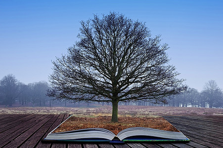 一棵光秃秃的树从魔法书的书页里长出来