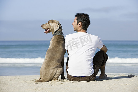 坐着的狗摄影照片_南非，开普敦，人和狗坐着的海滩