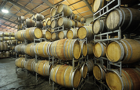 葡萄酒葡萄摄影照片_储藏室中的葡萄酒桶