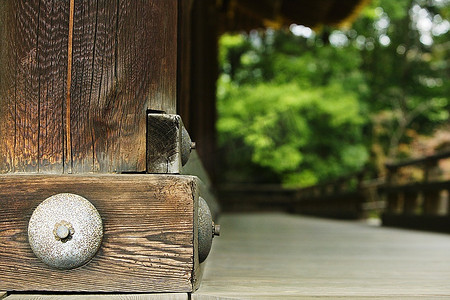 逐渐长大的绿芽摄影照片_日本京都宁定寺建筑细节特写