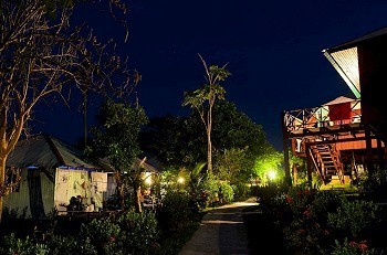 夜晚草摄影照片_泰国，Phi Phi，夜晚的高脚屋