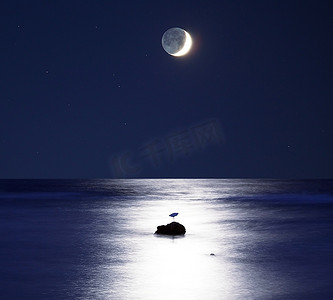 月光鸟摄影照片_月光下的大海