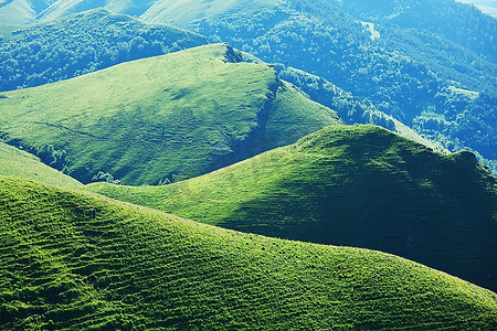 夏天的绿色山丘床单茶山绿色景观床单上的夏阳光明媚