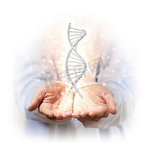 人手背景下的DNA链图像