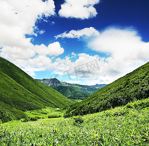 草原风景下的天空树