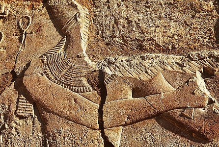 埃及博物馆中的象形文字