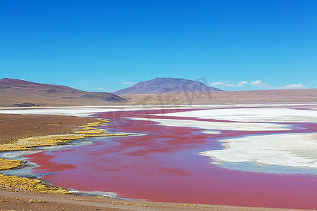 玻利维亚的科罗拉达湖