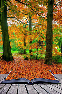 魔幻书中色彩鲜艳、细节精良的美丽秋色森林景观的创意构思