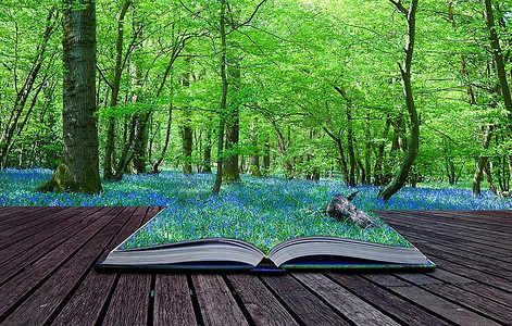 含有蓝铃树树林的魔法书的内容溢出并融入背景