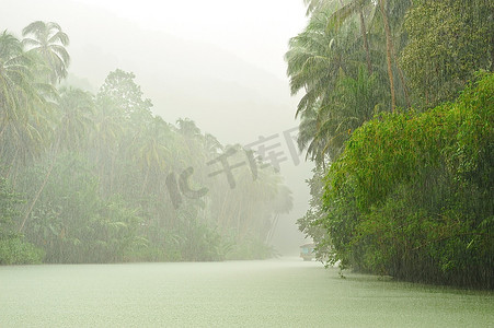 流经雨林的河流上方的热带雨