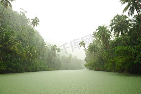 流经雨林的河流上方的热带雨