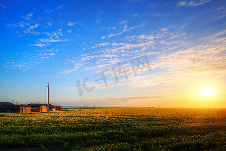 日照摄影照片_朝阳照亮油菜田的农舍景观