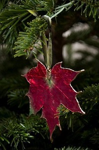 一片树叶圣诞装饰