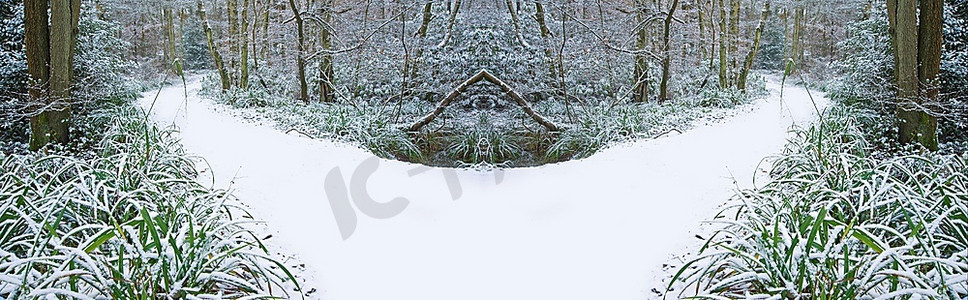 森林小路摄影照片_美丽的穿过森林的小路，地上有初雪