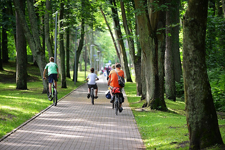 森林骑车摄影照片_骑自行车的人在公园的自行车道上骑车
