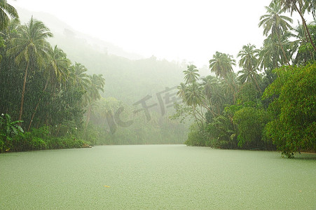 流经雨林的河流上方的热带雨