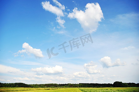 天空、云朵和树木。夏季景观