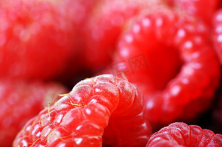 成熟的红树莓接近尾声